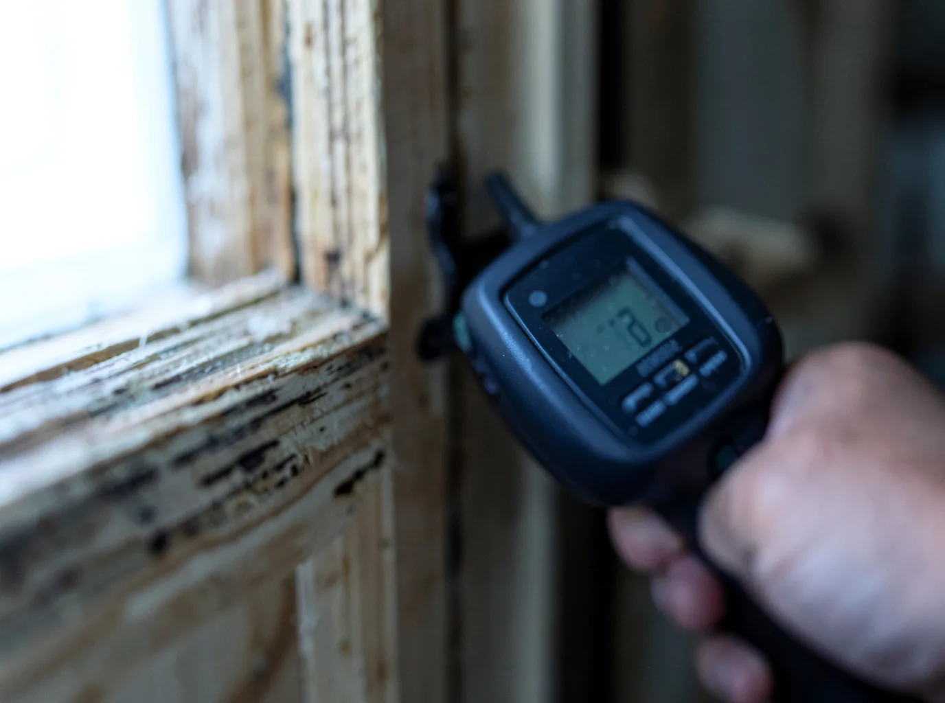 Moisture Inspection And Documentation in Centerport, NY
